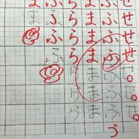画像7457