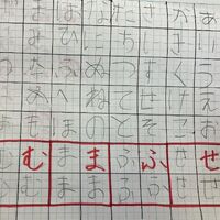 画像7458