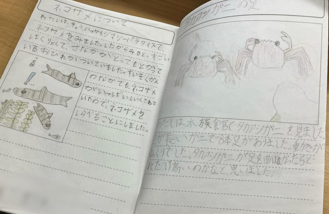 画像8086